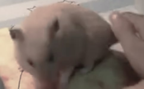 �}(c��ng)���^����ӛ4ƪ