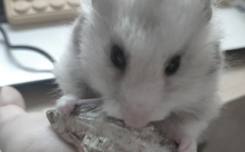 �}(c��ng)���^����ӛ