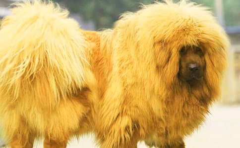 �u�L�����^���7ƪ