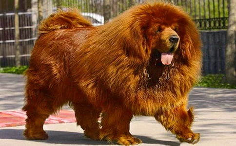 �x�����ᡱ�и�