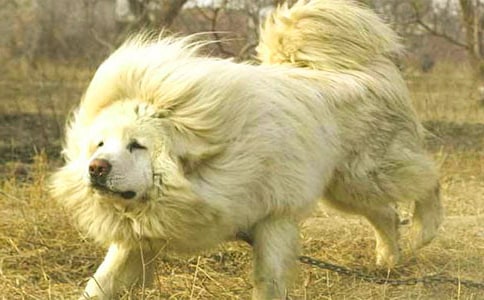 ���I��С������B(y��ng)������B