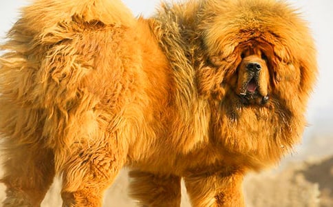 �����ᡷ�x���