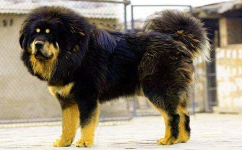 �x�����ᡱ�и�15ƪ