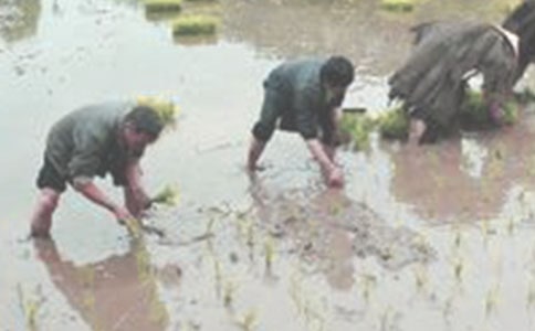 ���������ġ���Ʒ15ƪ��