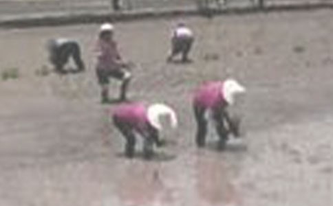 ����������15ƪ�����A��