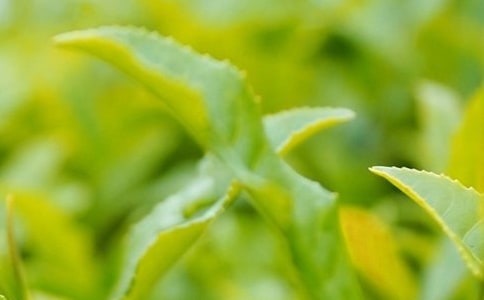 [��(y��u)�x]���^���~�����^����