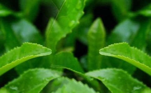 �ɲ��~����15ƪ[��(y��u)��]