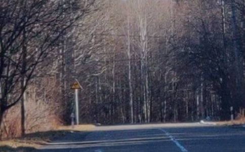 (經(jīng)典)游長白山作文