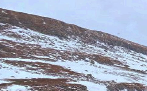 �L(zh��ng)��ɽ��ӛ�؂�15ƪ