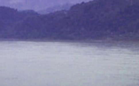 �����ϣ��P(gu��n)���L(zh��ng)������