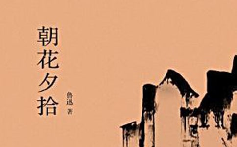 朝花夕拾讀書筆記(15篇)