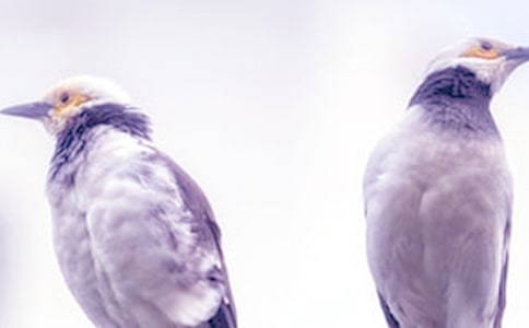 吵架的作文合集(15篇)