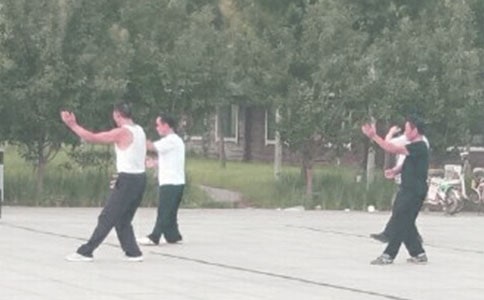 �������f�f�l(f��)����Ȧ310��