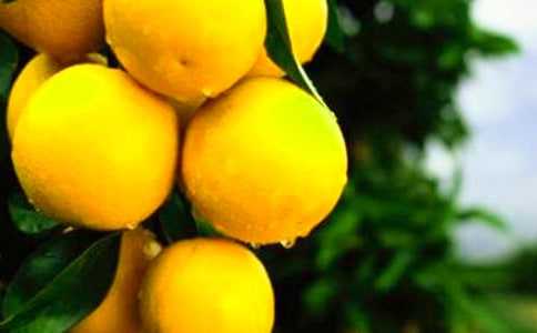 Ⱦɫ����Σ������ ����b�eȾɫ����