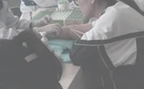 【合集】抽血的作文12篇