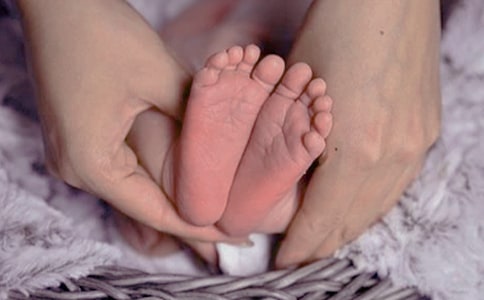 �����t(y��)�W(xu��)�C��(����2ƪ)