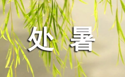 處暑養(yǎng)生吃什么菜