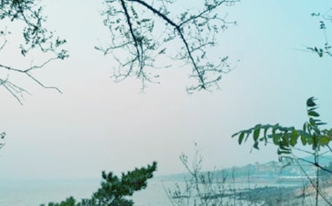 ���L(f��ng)�p�p�Ĵ�