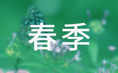 (實(shí)用)小學(xué)春季教學(xué)工作計(jì)劃13篇
