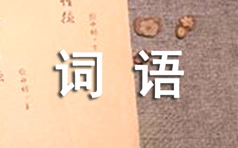 關(guān)于雪的詞語