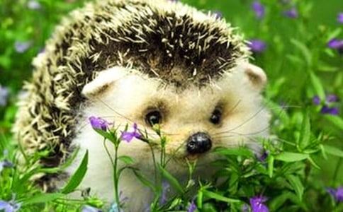 ����^��У�ͨ��9ƪ��