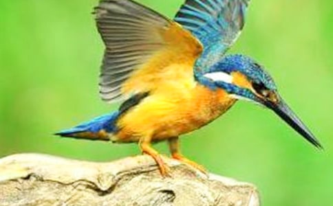 ���B΢�n��˼