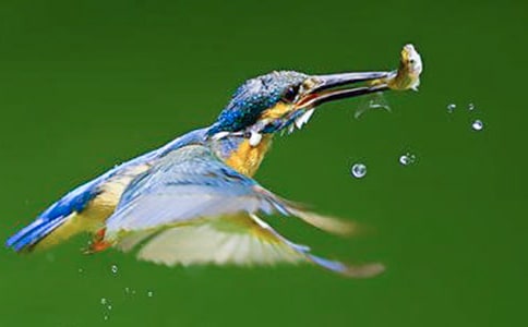 С�W�Z�Ľ̌W��˼���B