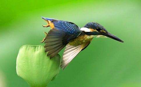 �����B���̌W���