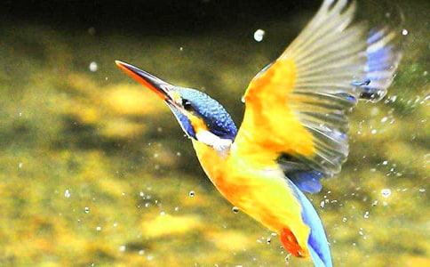 ���B�̌W(xu��)��(sh��)�����