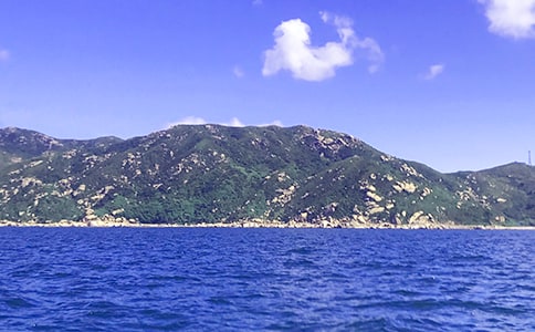 ���ٿ�������