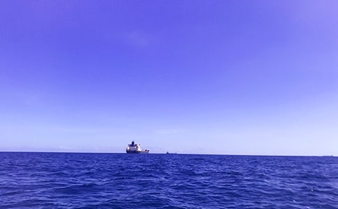 關(guān)于我愛大海五年級作文300字合集九篇