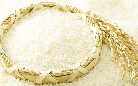 ��֥������������