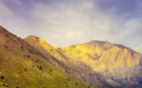 神奇的大山作文