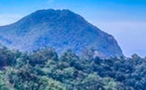 大山的深處作文