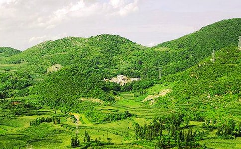 大山深處的守望作文