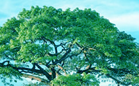 �o���(sh��)��һ����