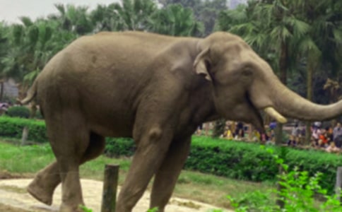 ��������꼉(j��)�ԿƌW(xu��)�̌W(xu��)Ӌ(j��)�������x15ƪ��