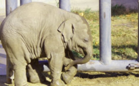 ���P(gu��n)����ͯԒ����