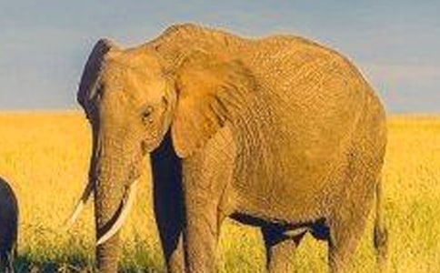 ���x����ͯԒ����300����ƪ