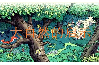 大自然的啟示反思集錦【13篇】