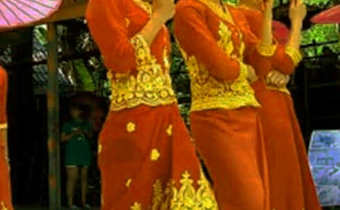 �������(x��)��