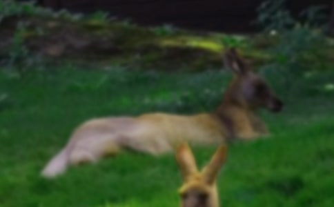 �cС�������������