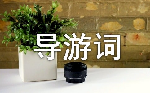 ��Ό���(d��o)���~