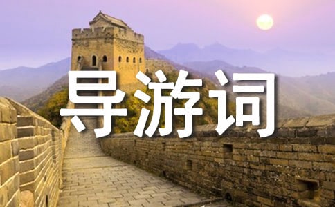 ������(d��o)���~