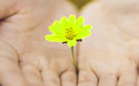 給老婆道歉短信