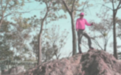 ��ɽ������15ƪ�����x��