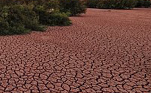 ��������������8ƪ�����á�