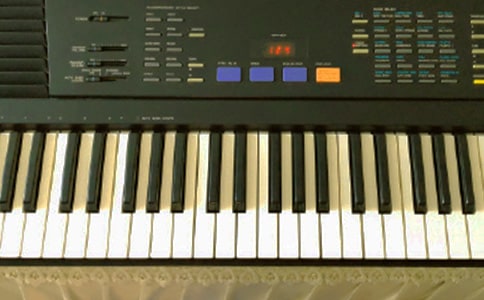 電子琴我要謝謝你作文