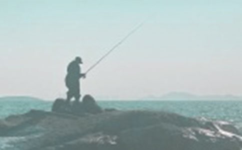 一對父子釣魚看圖寫話精選(12篇)