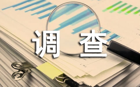 網(wǎng)吧社會實踐調(diào)查報告4篇